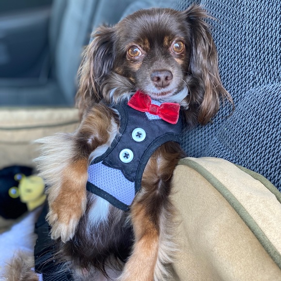 Meet your Posher, Ashley. Instagram: Ashtahfashion - Picture 6 of 7